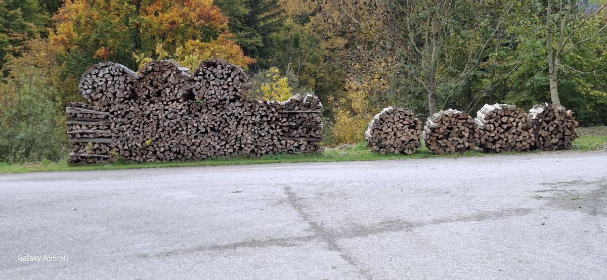 Brennholz 1