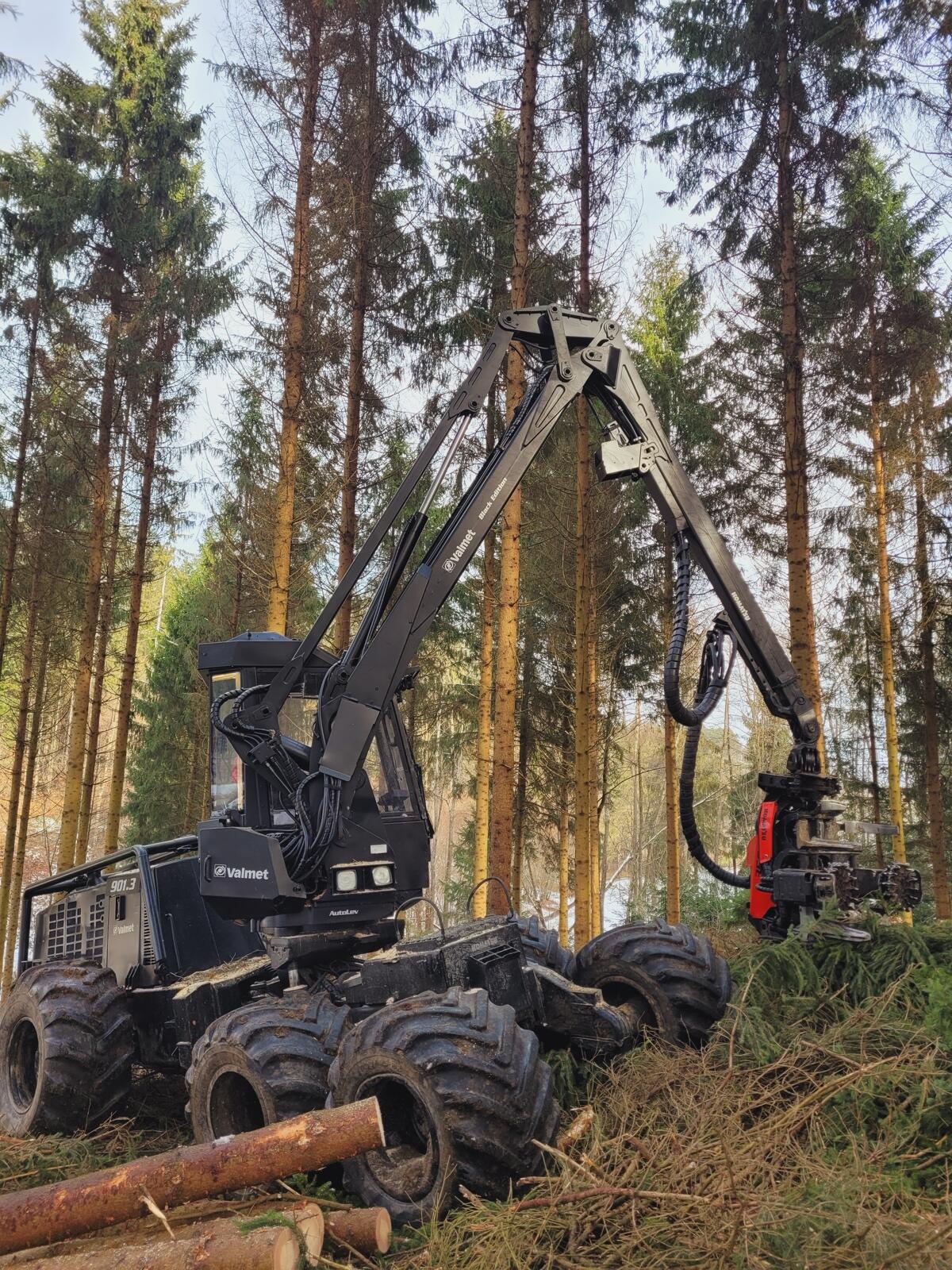 Valmet/Komatsu 901.3 Harvester 3