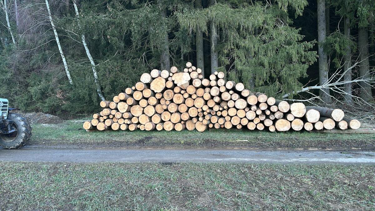 Forstarbeiten 1