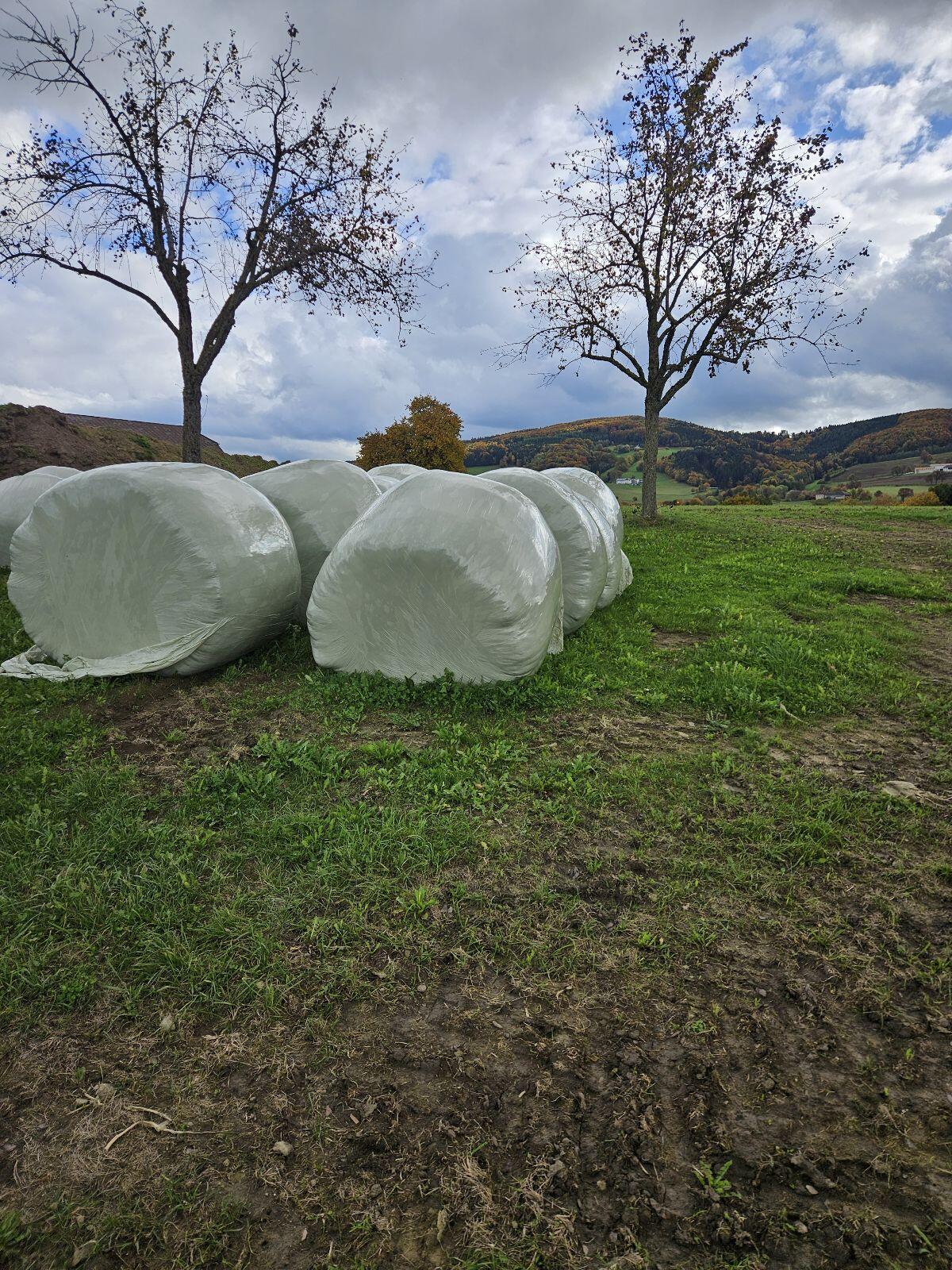 Siloballen 2