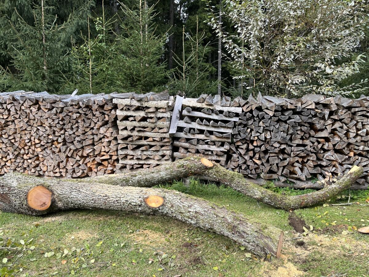 Birnenholz/Birnenstämme 2
