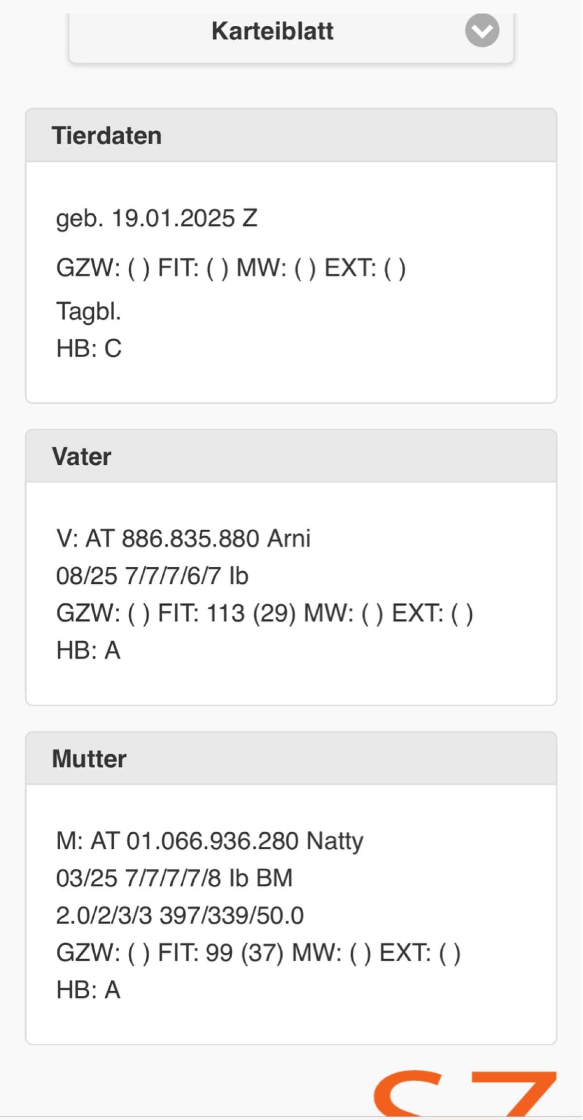 Tauernscheckenziegen HB 3