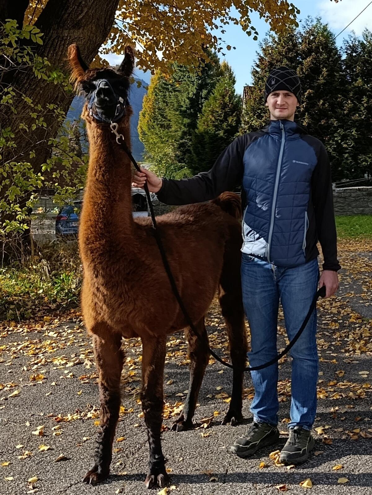 Lama 2