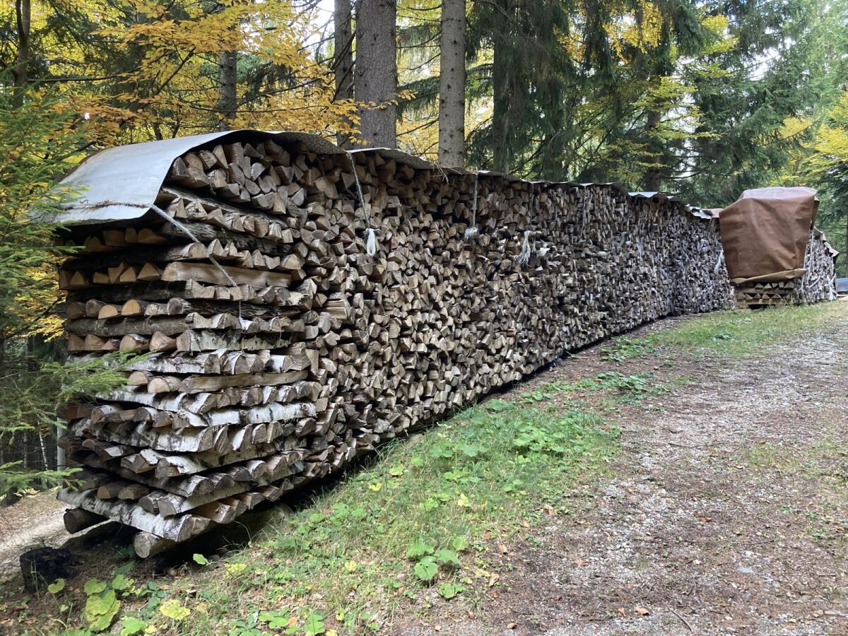 Hartholz 1