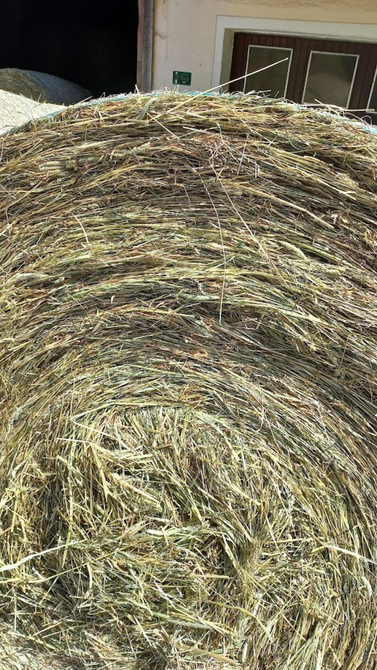 Heuballen 1