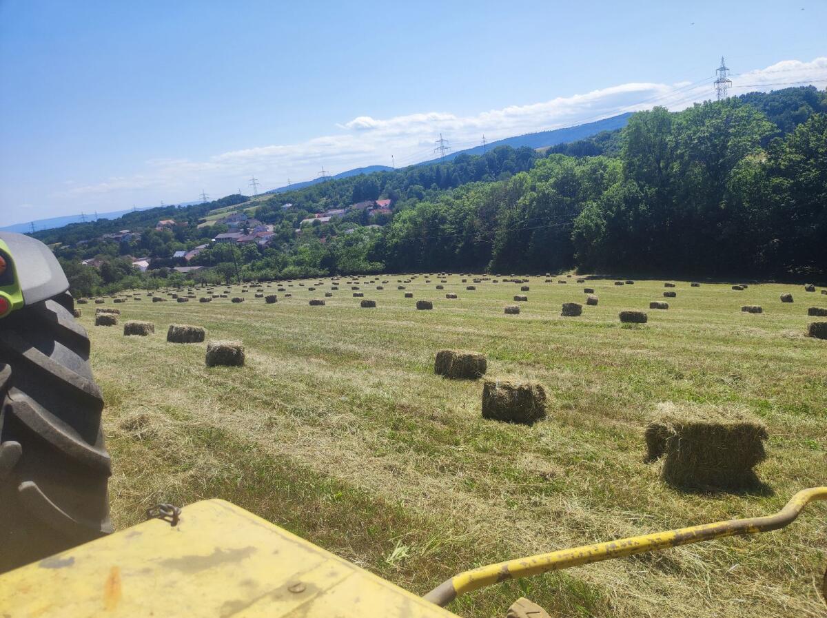 Heu in Kleinballen 2