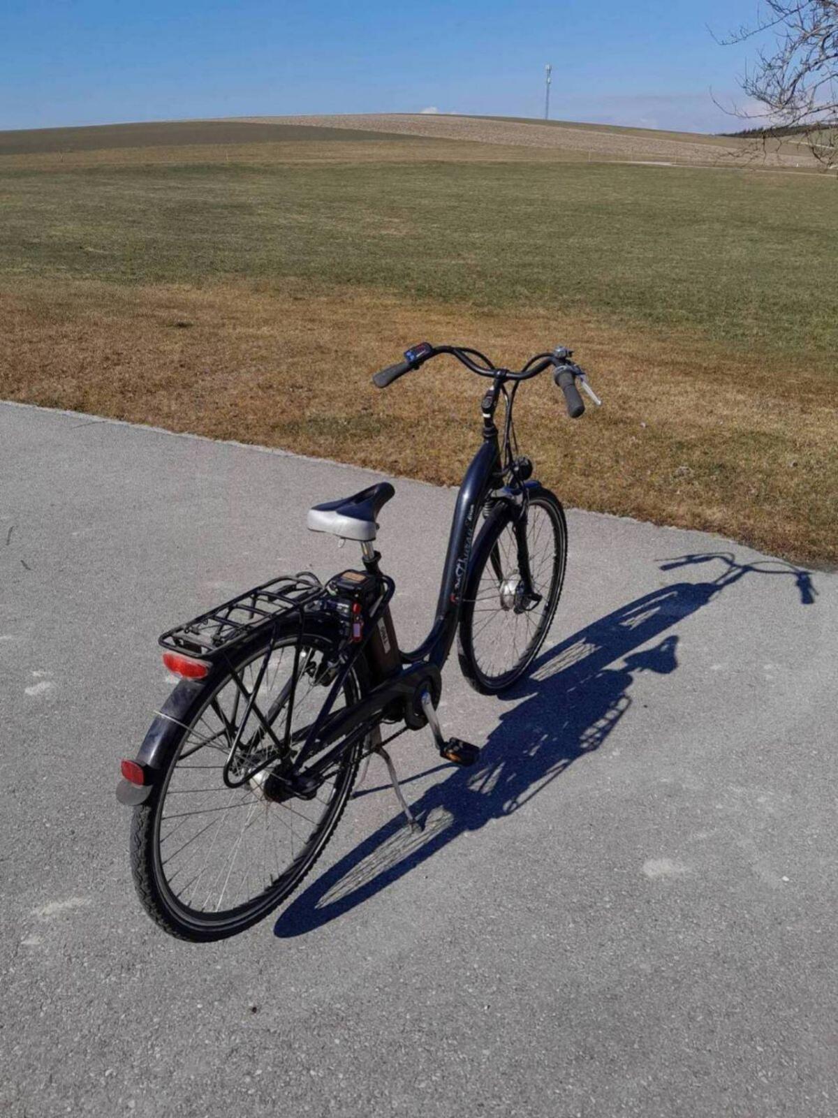 Damen Fahrrad E-Bike 2