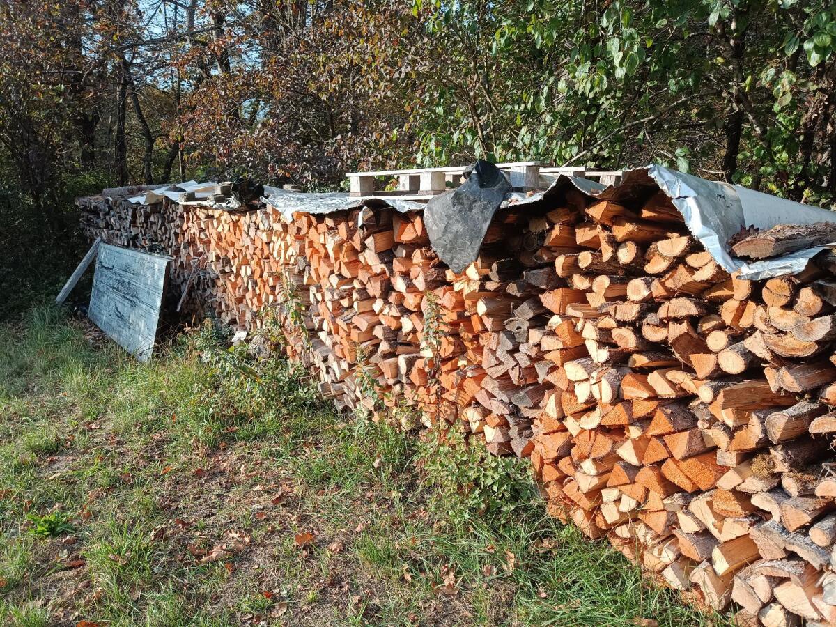 Brennholz 2