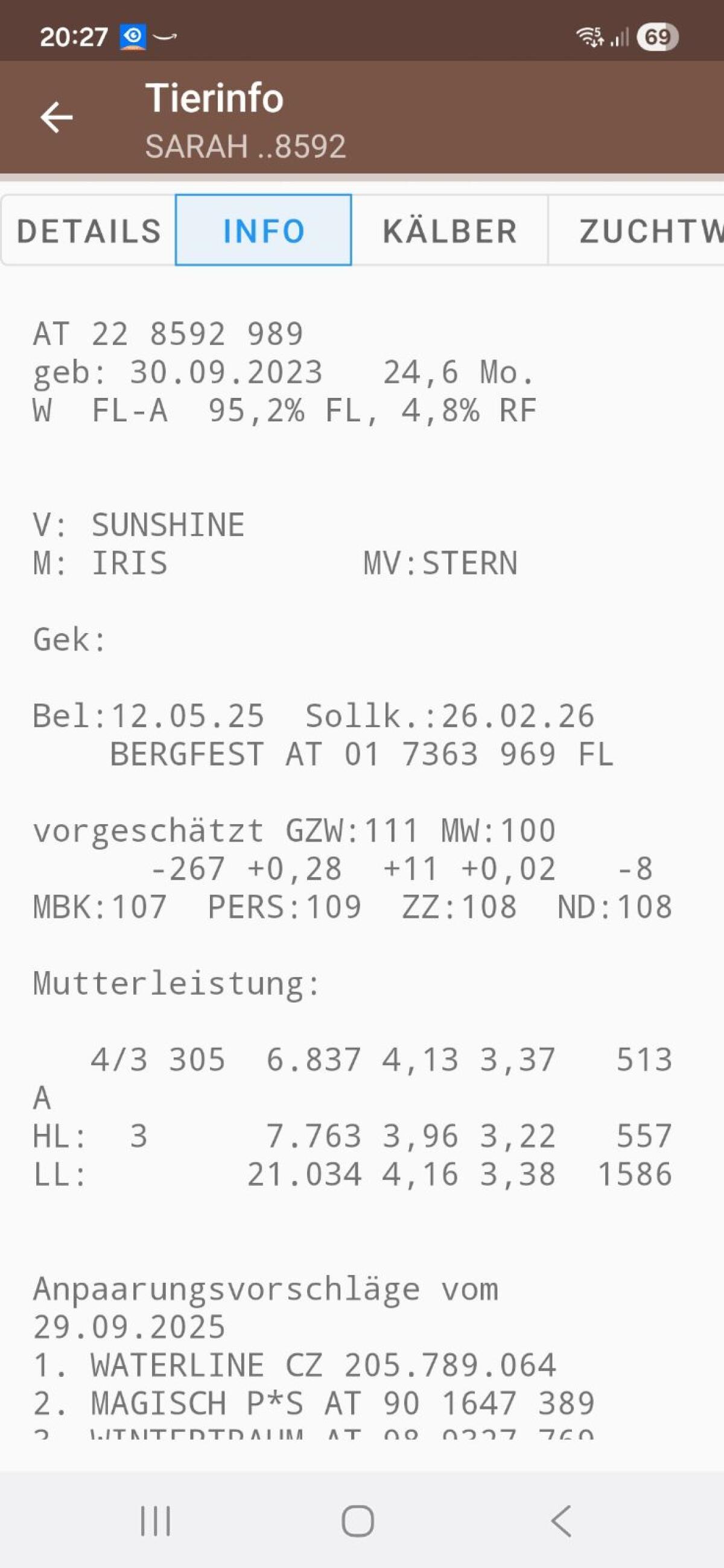 Trächtige FV-Kalbin 3