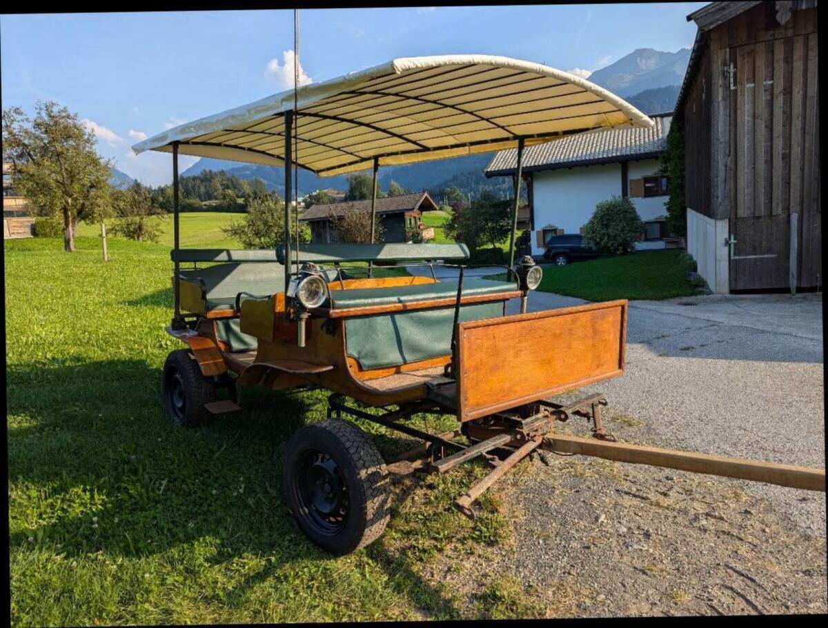 Leichte Kutsche für 10 Personen 1
