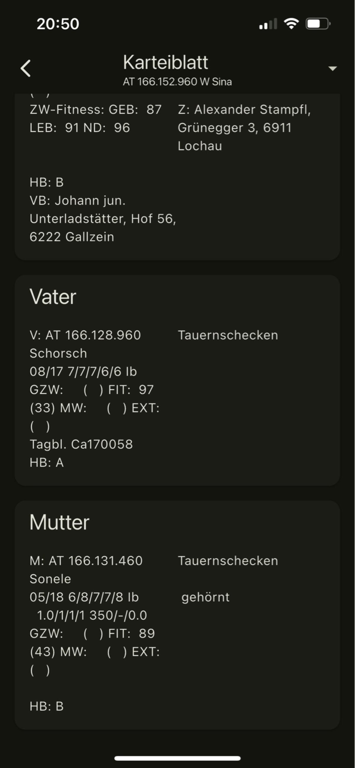 Tauernscheck Ziege 2