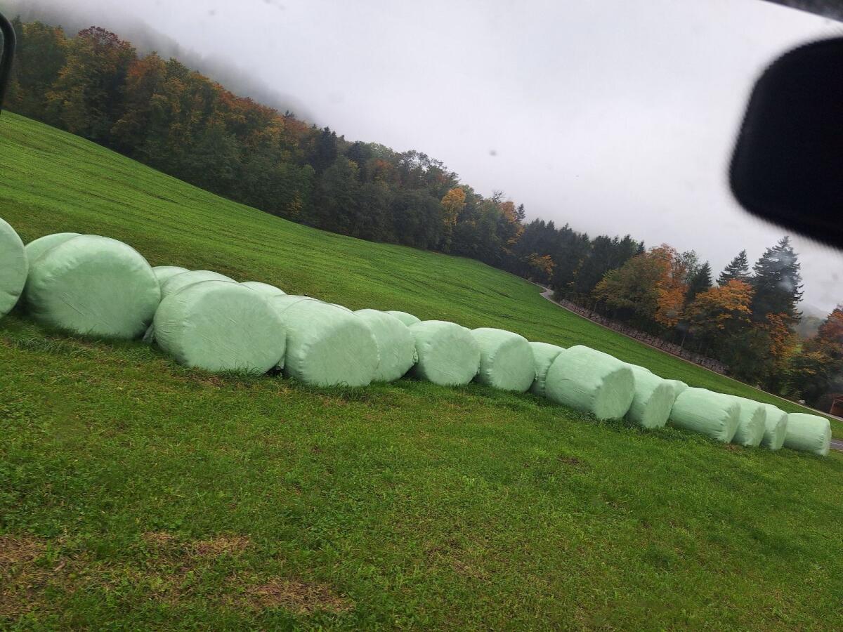 Silageballen Siloballen 1