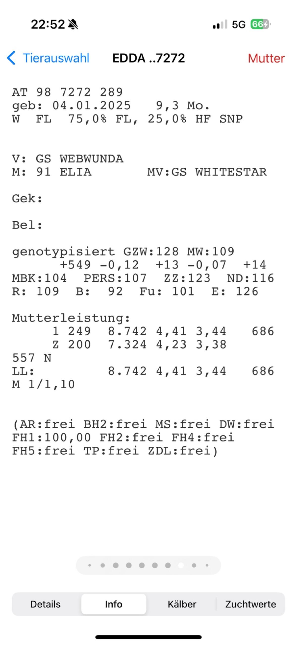 Jungkalbinnen 1