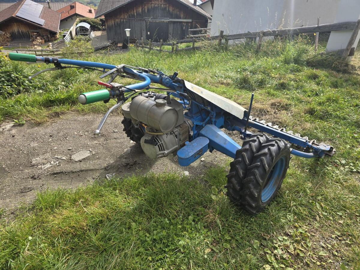 Vogel Noot Jet 1 3
