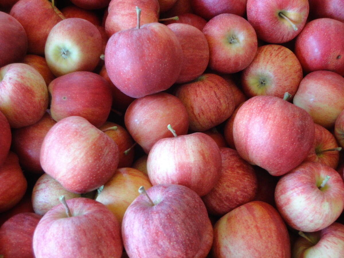 Äpfel 2
