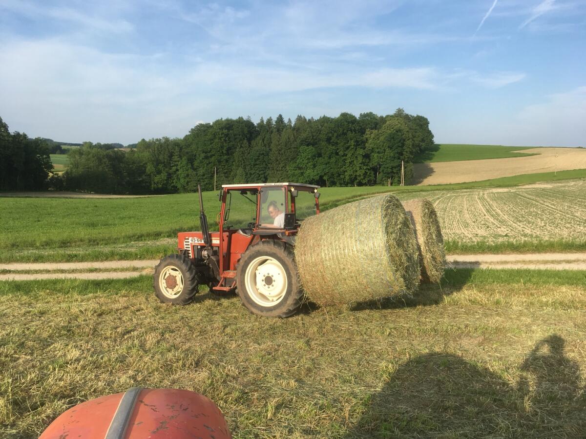 Heuballen 1