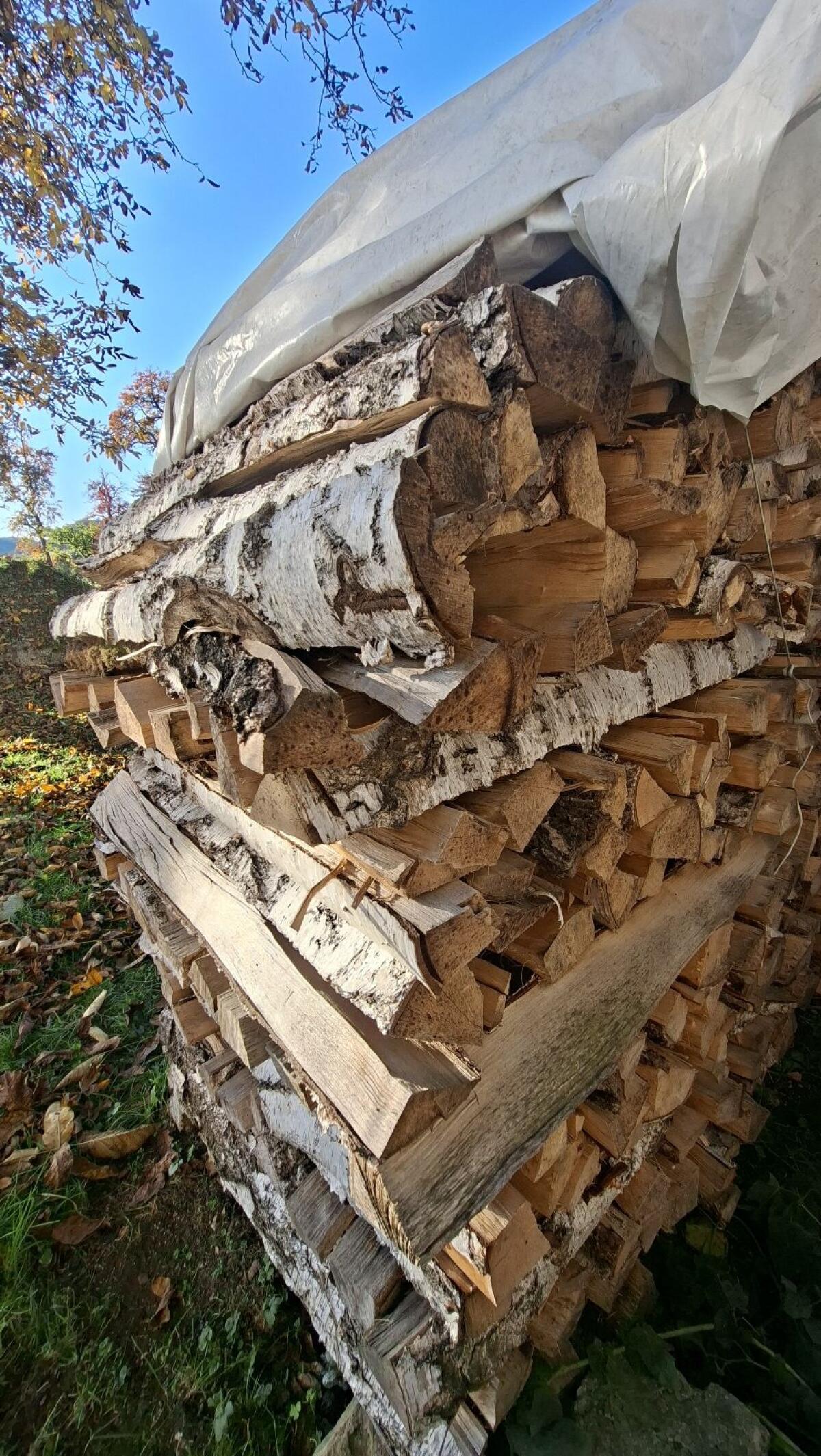 Birkenbrennholz 2
