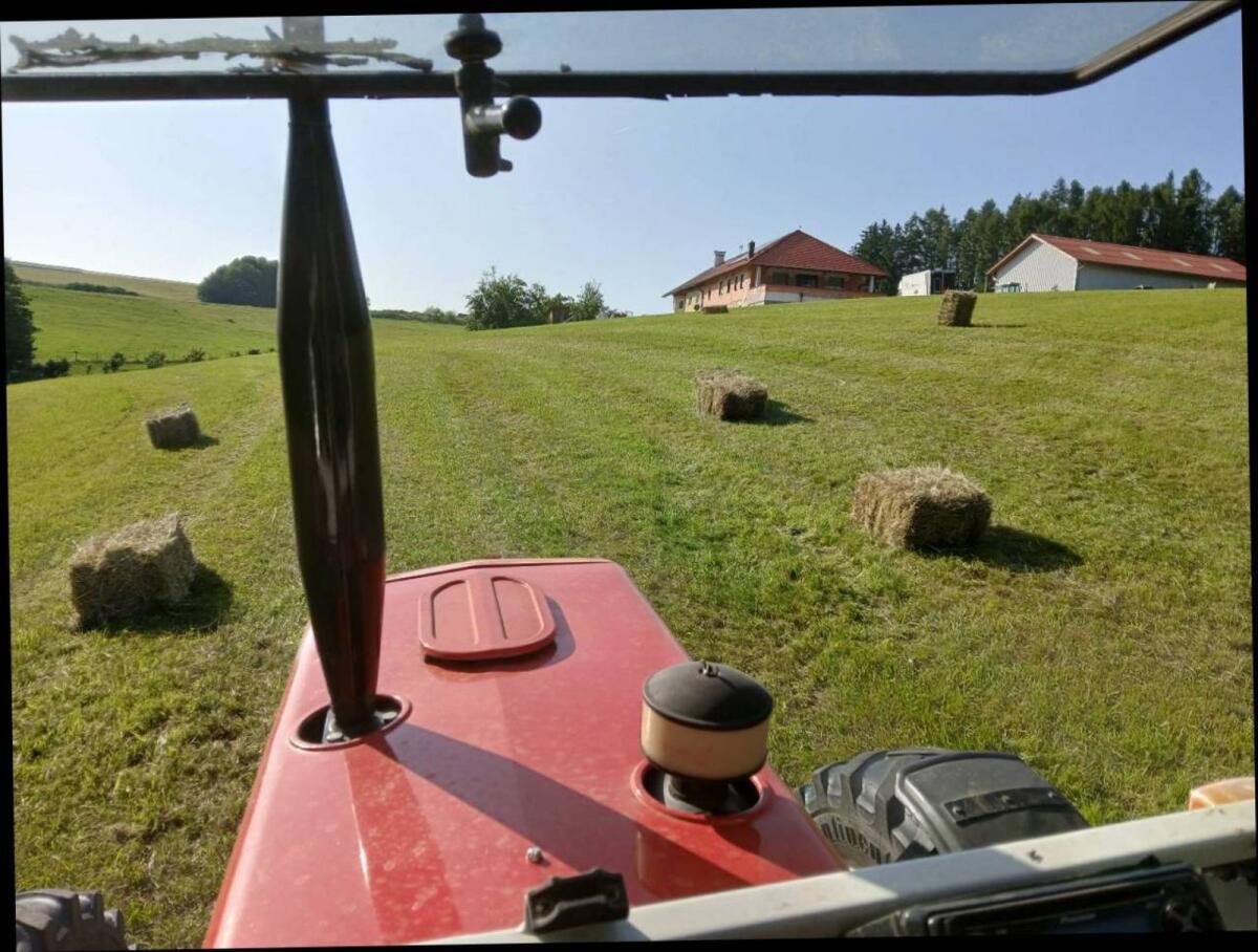 Verkaufe Heu in Kleinballen 3