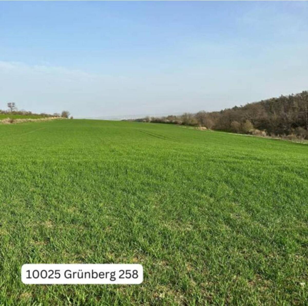 Kleine Wirtschaft mit 9,4 ha Nähe Horn 2