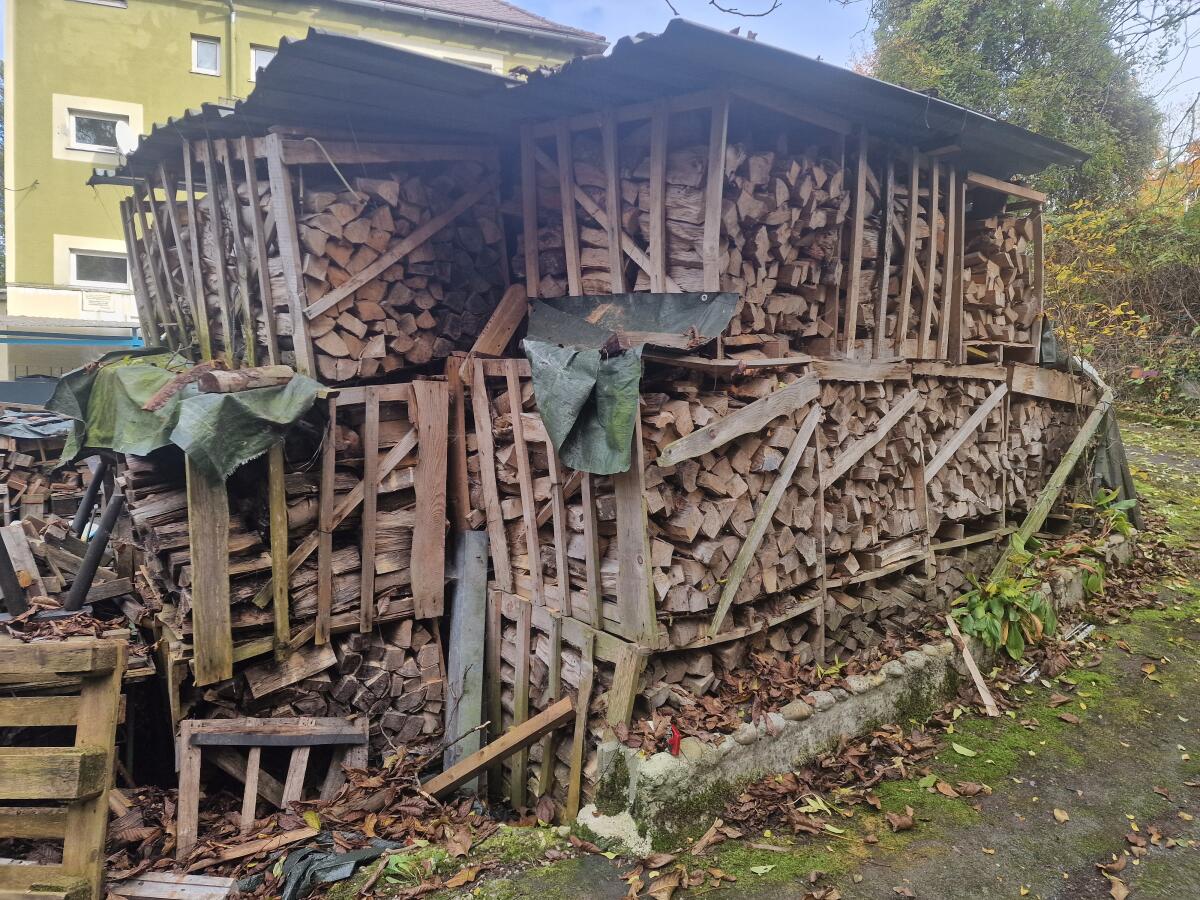 Buchenholz 2