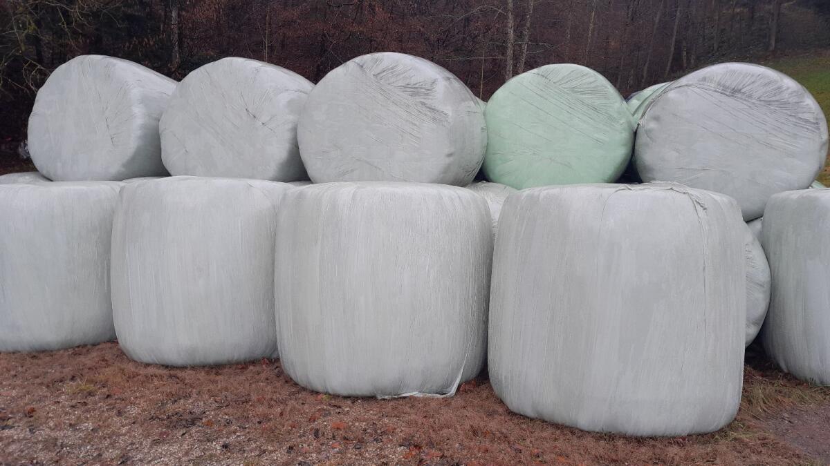 Silageballen zu verkaufen 1