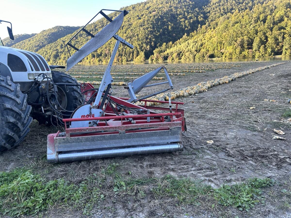 Kürbisflug, Kürbisschieber Moty Rollmax ECO 3