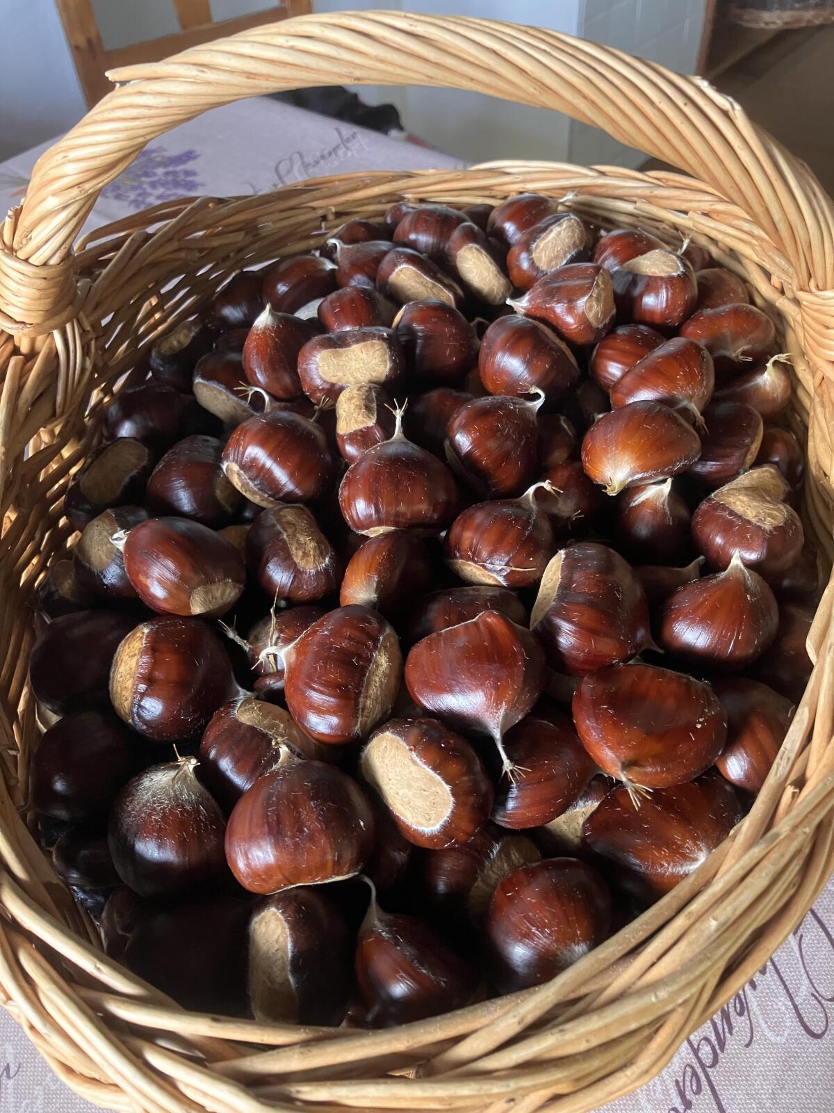 Edelkastanien 1