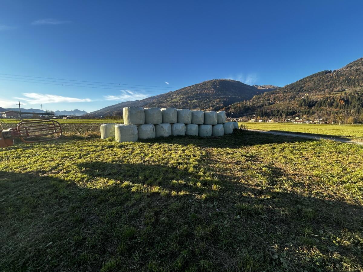 Silageballen 3