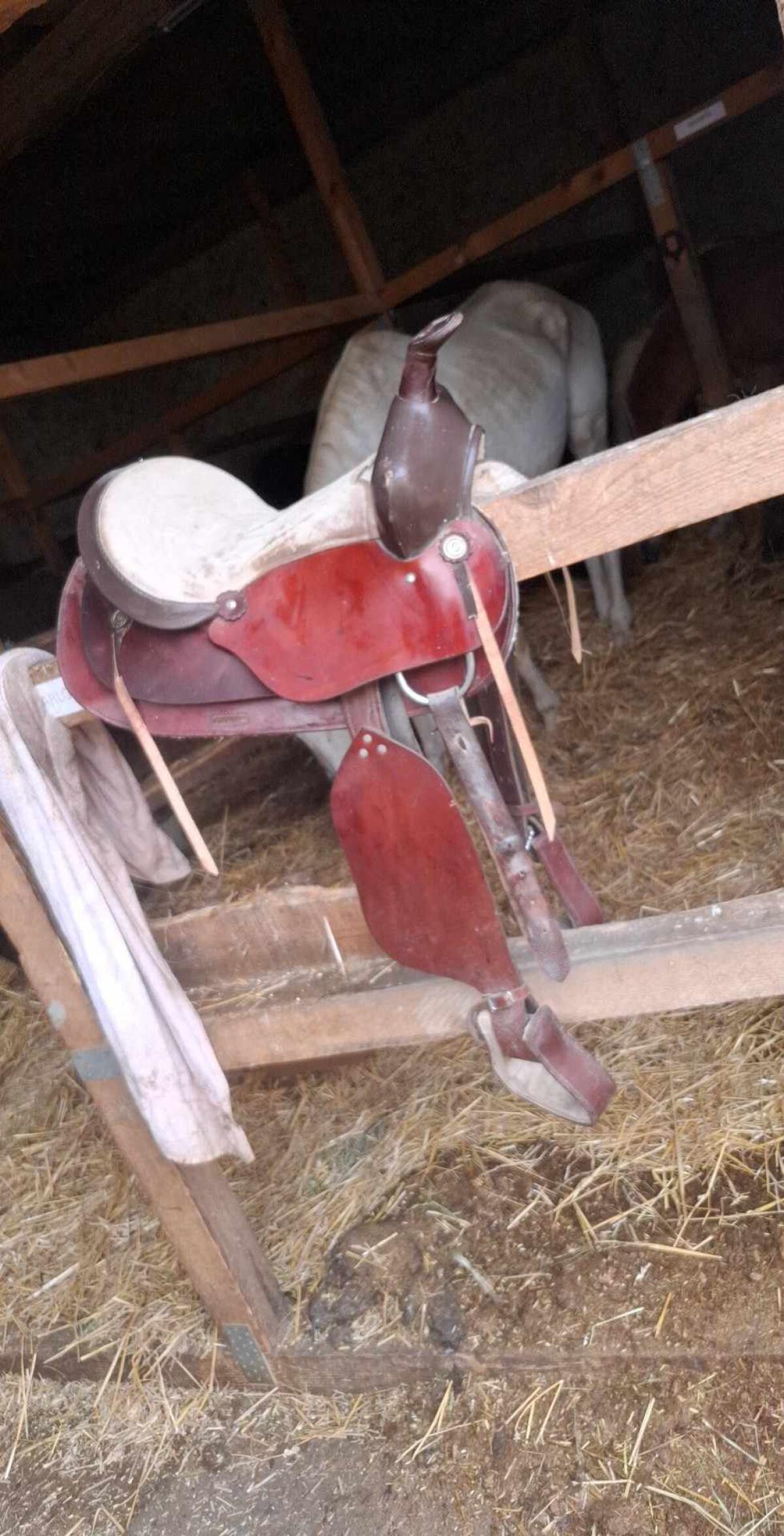 Westernsättel 1