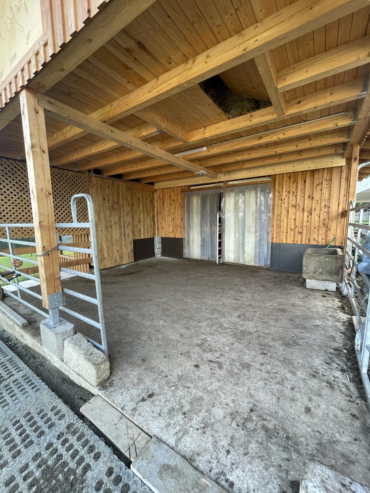 Einstellplatz im Offenstall 3