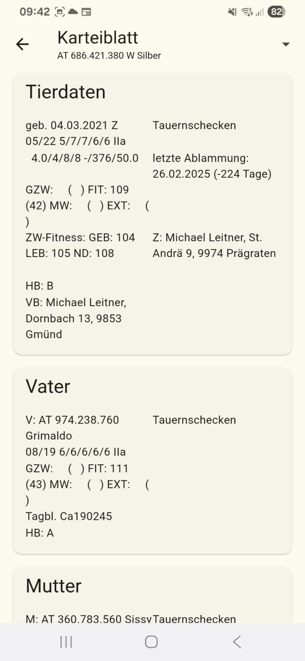 Tauernschecken Ziegen 2