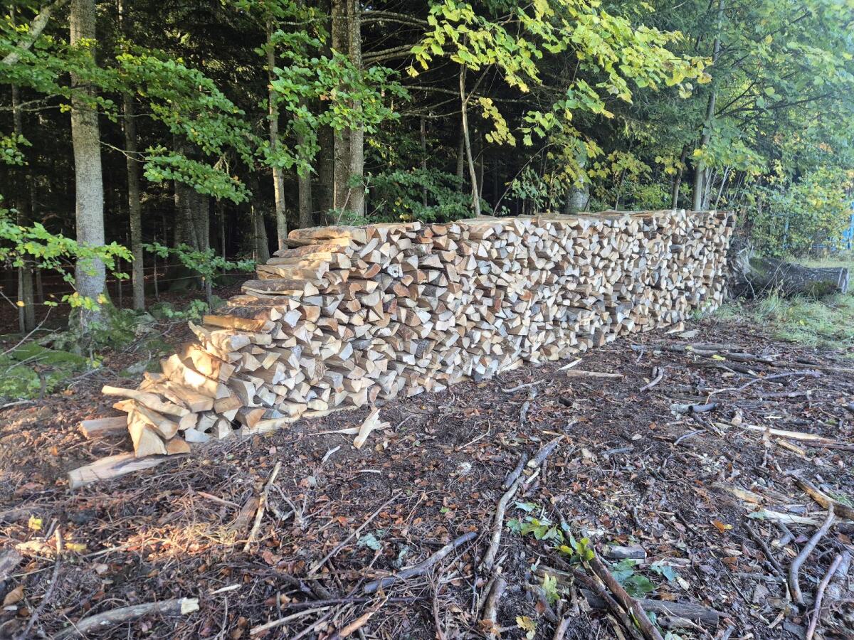 Brennholz Hartholz Esche Erle Buche 11 Ster 2