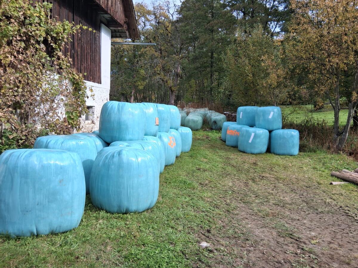 Grassilageballen von 2024-2025 (verschiedene Schnitte) 1