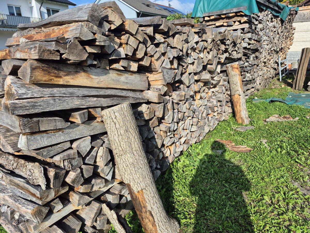 Brennholz Buche 2