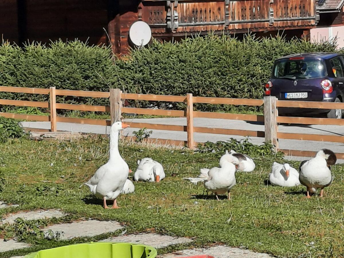 Verschenke gegen freiwillige Spende 3
