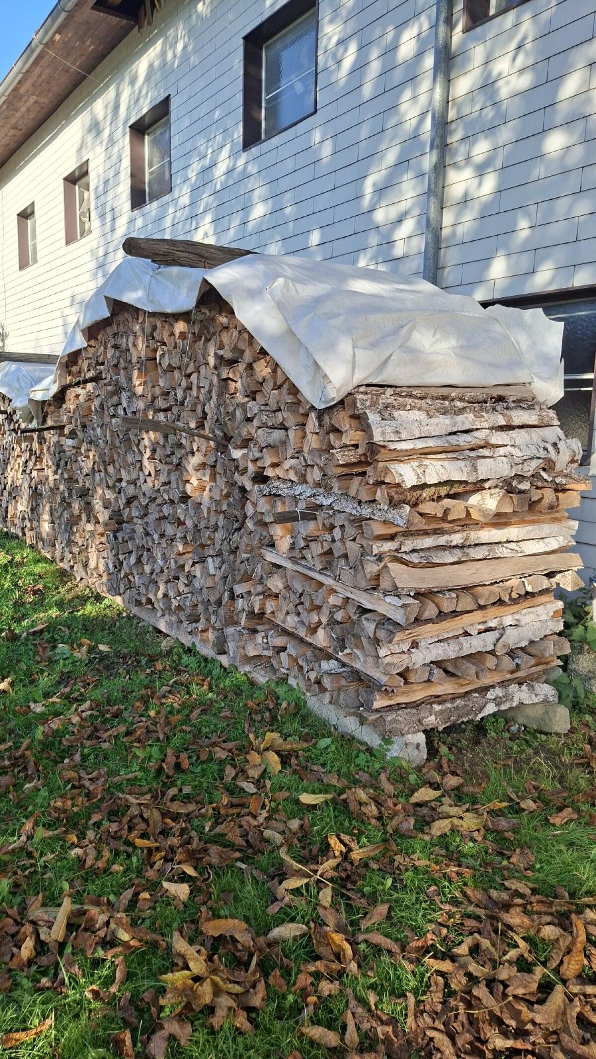 Birkenbrennholz 1