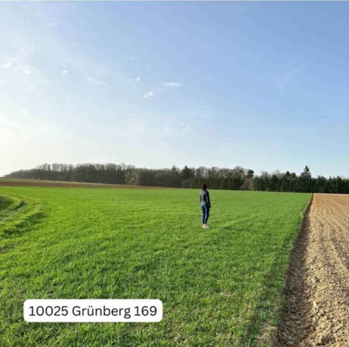 Kleine Wirtschaft mit 9,4 ha Nähe Horn 3