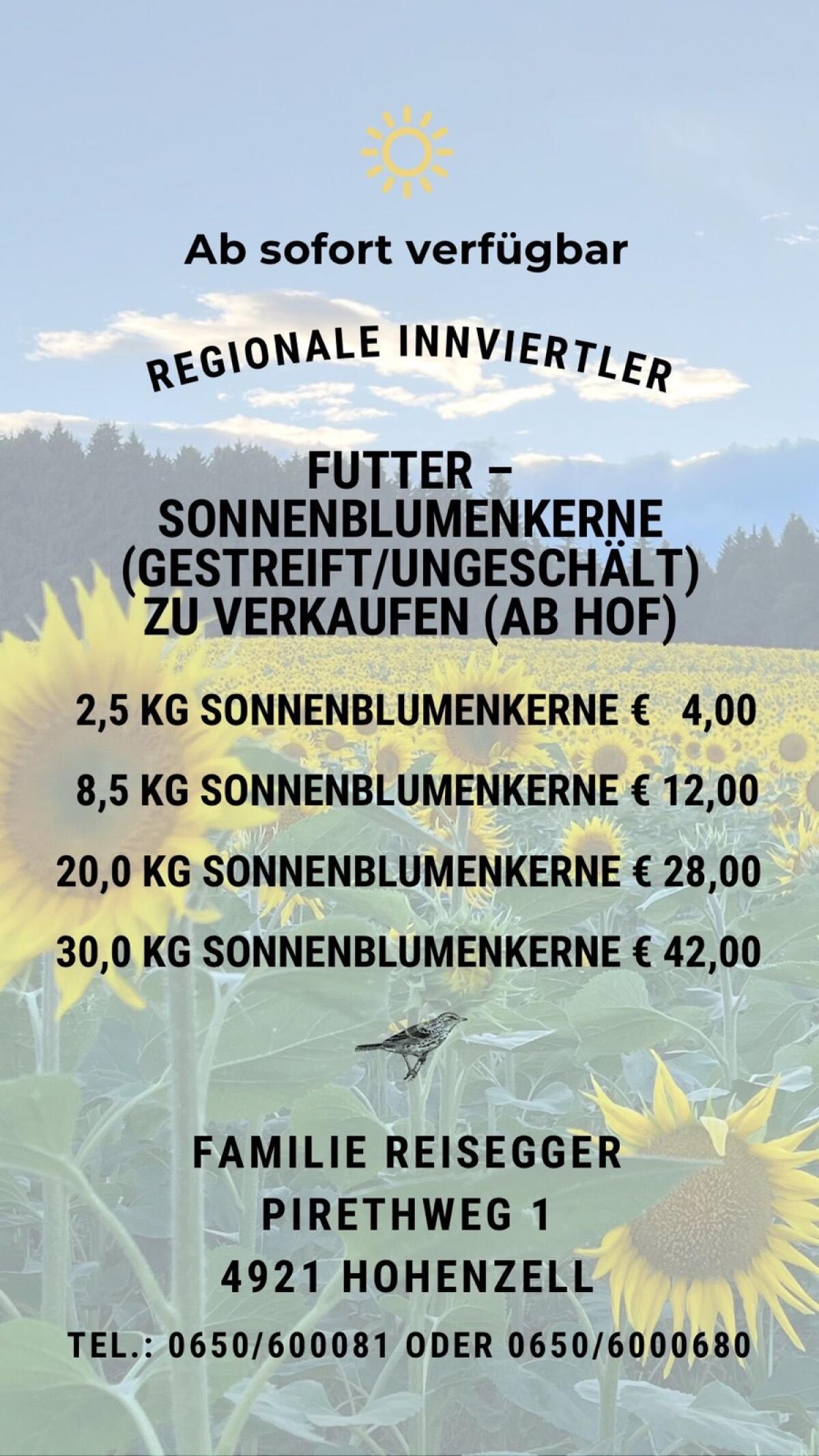 Verkaufe regionale Sonnenblumenkerne