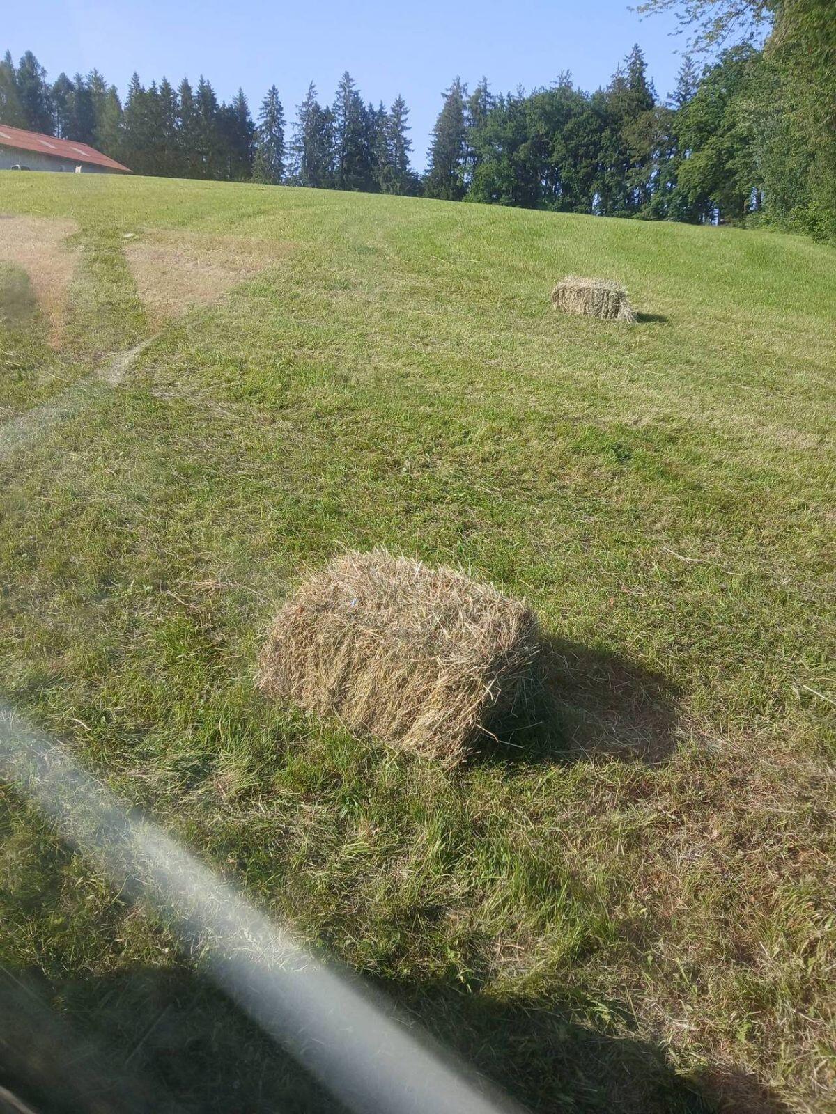 Verkaufe Heu in Kleinballen 2