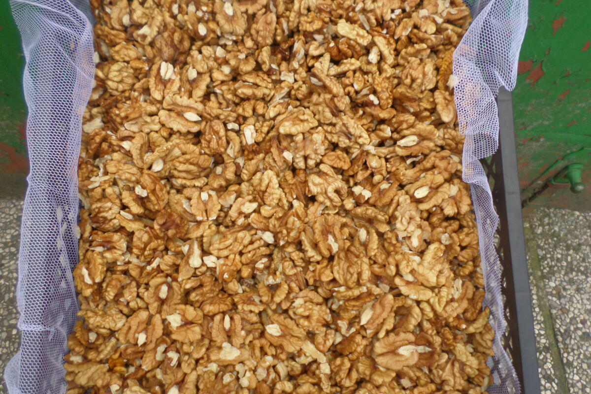 Frische ausgelöste Nüsse 2025 2