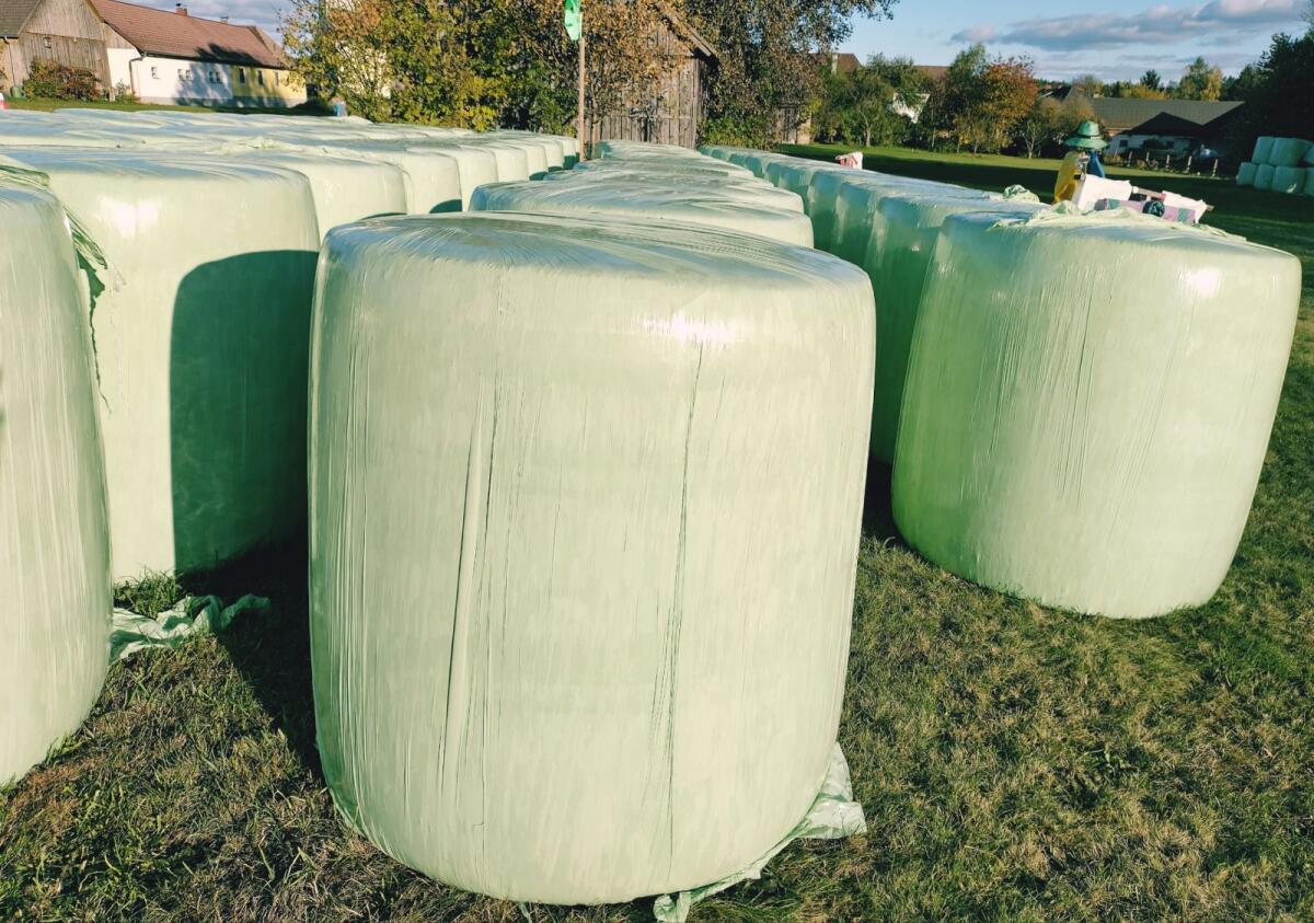 Maissiloballen 1