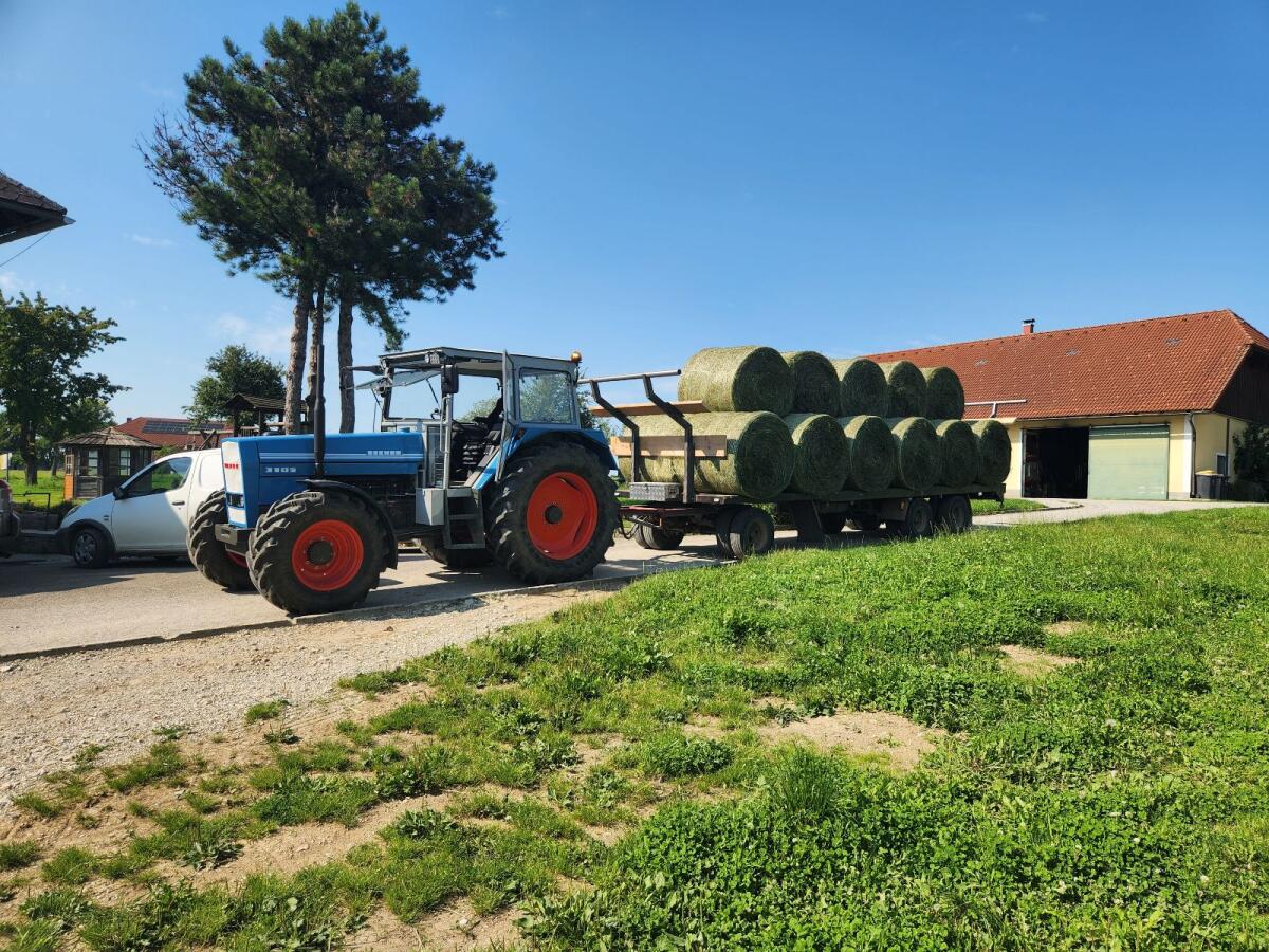 Eicher gesucht 1