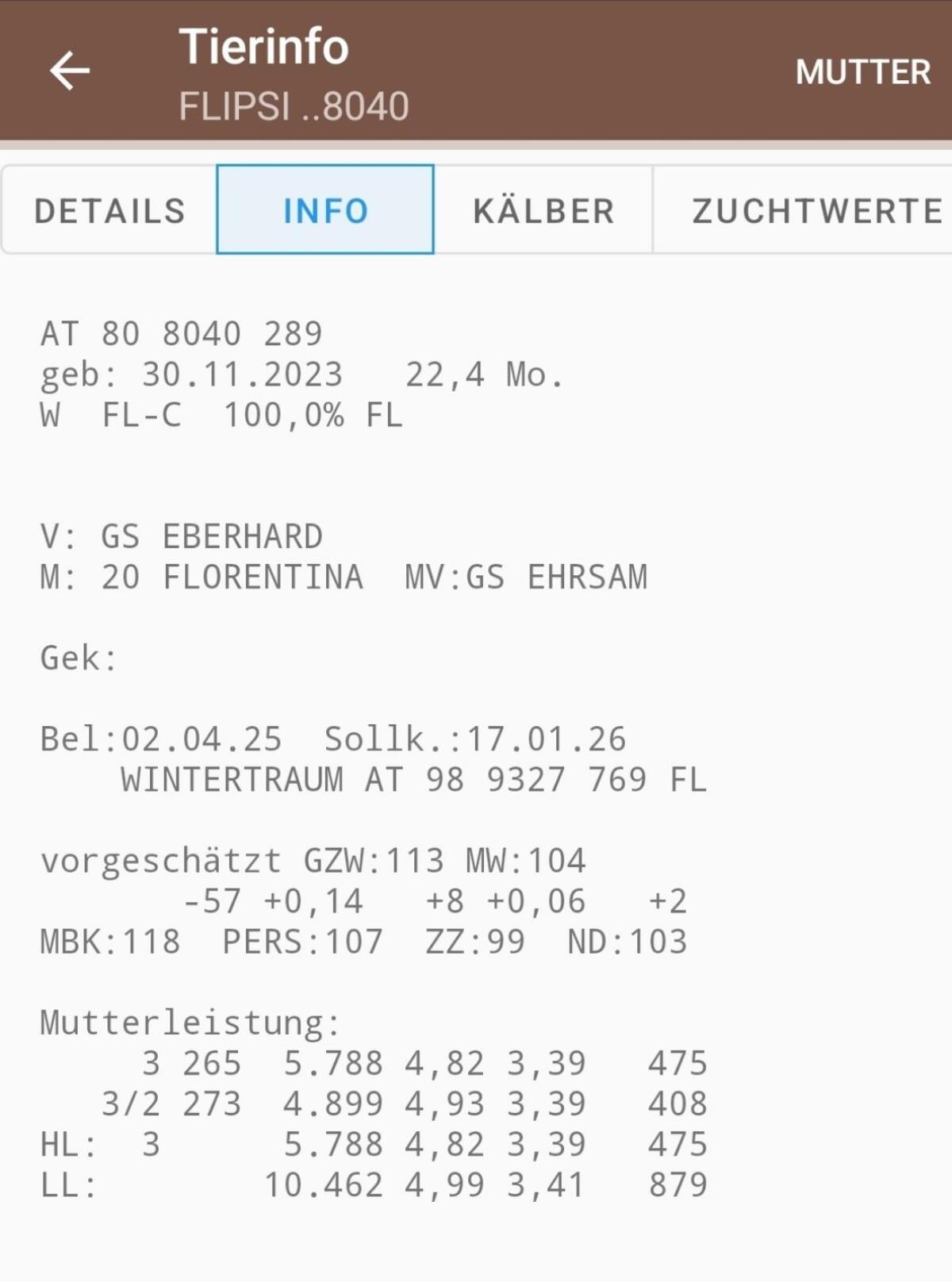 Trächtige Bio-Kalbinnen 3