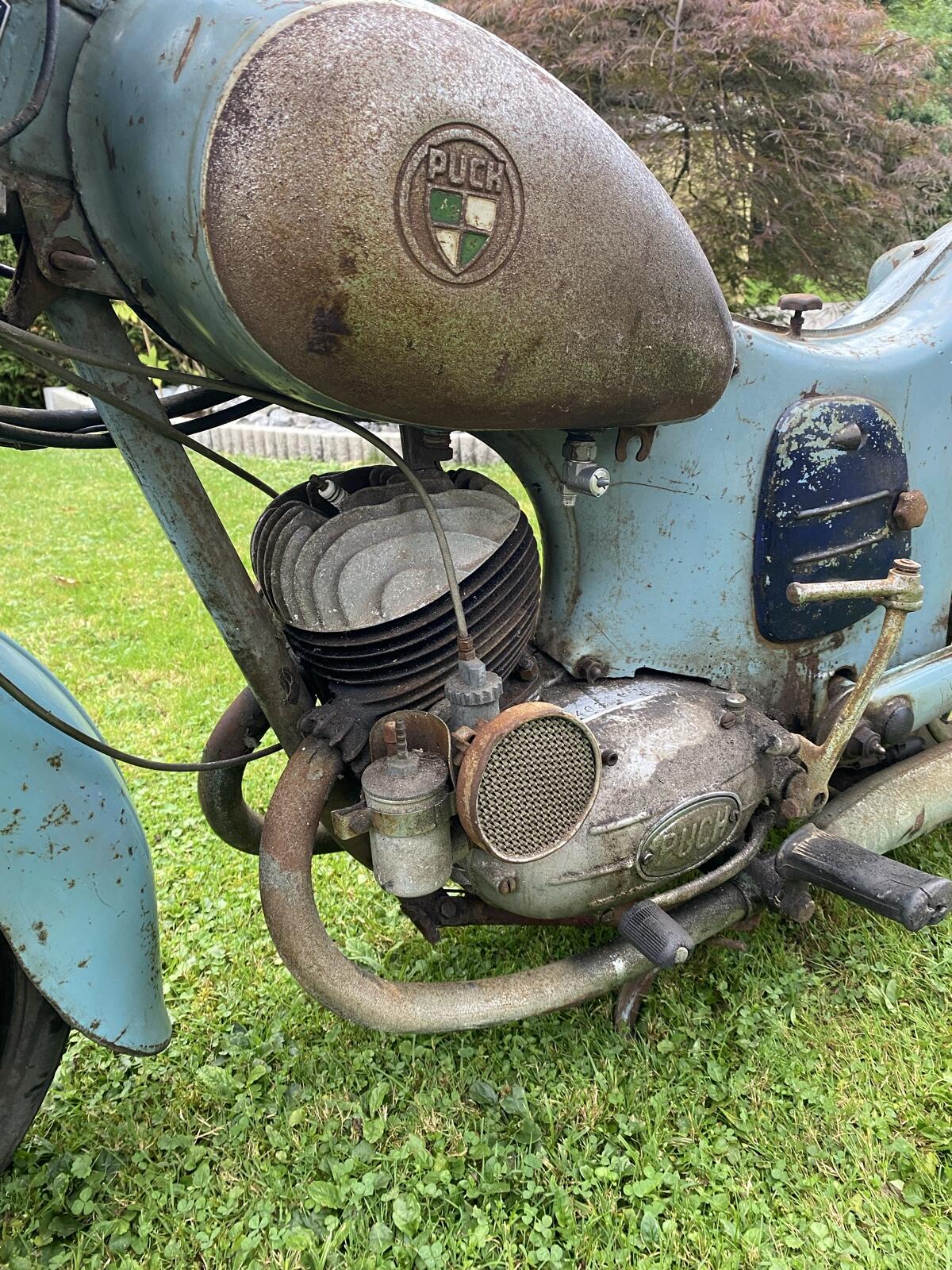 Puch SV 175 mit SVS Motor - Puch 2