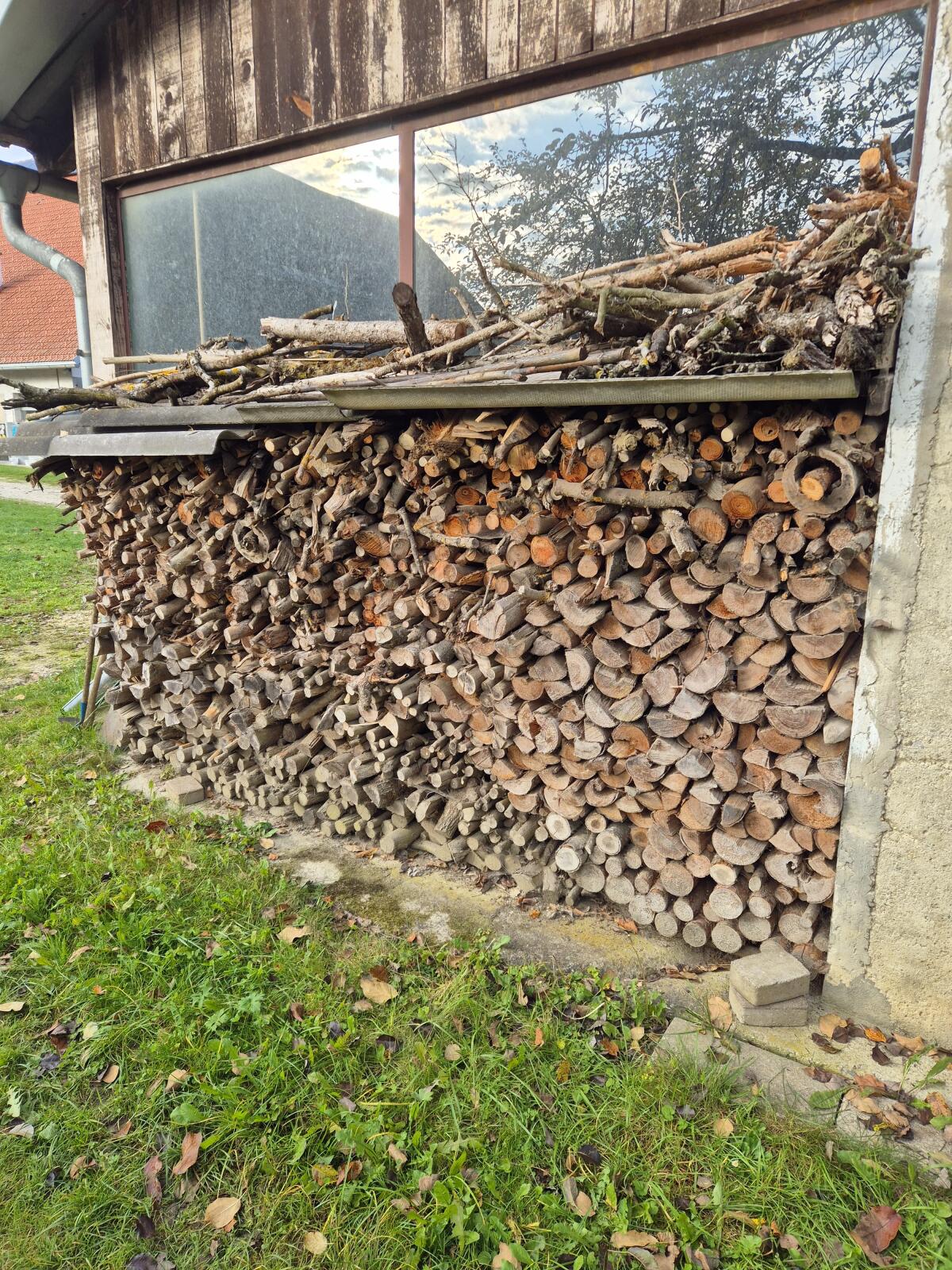Brennholz 2
