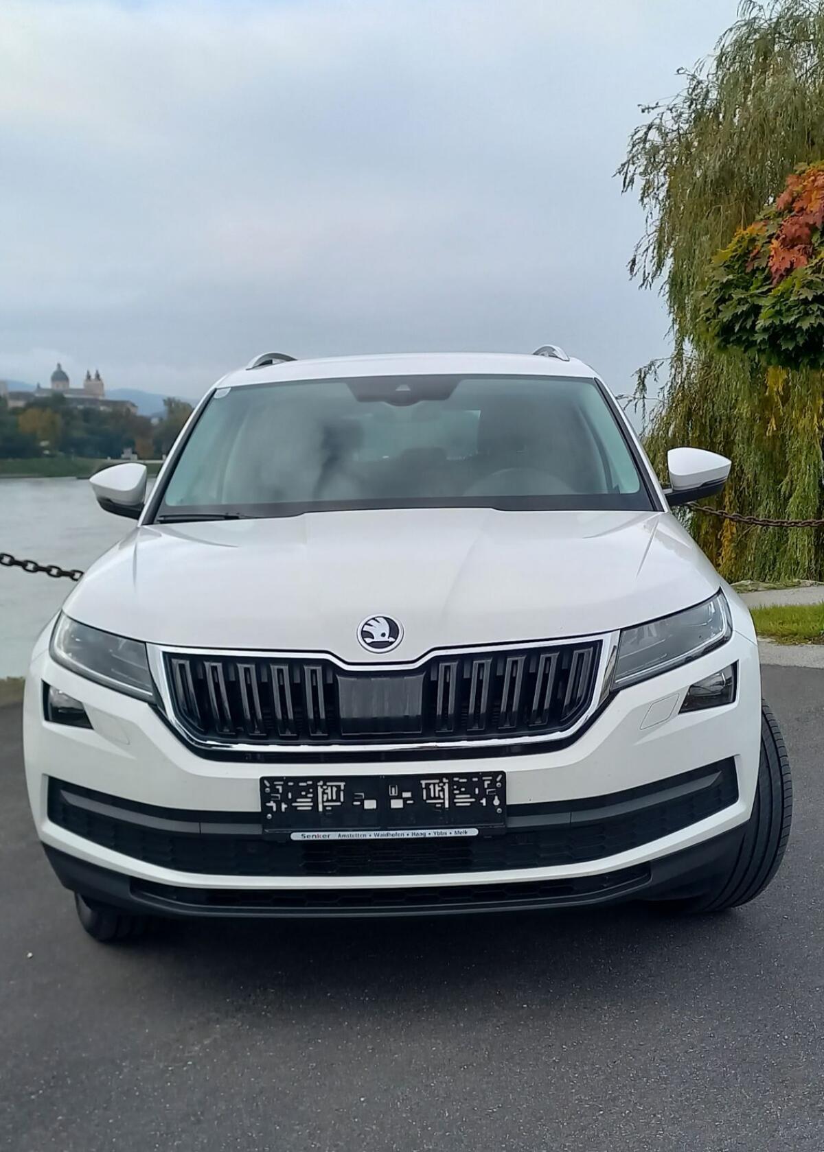 Skoda Kodiaq 2.0 l Diesel 150 PS Automatik 3