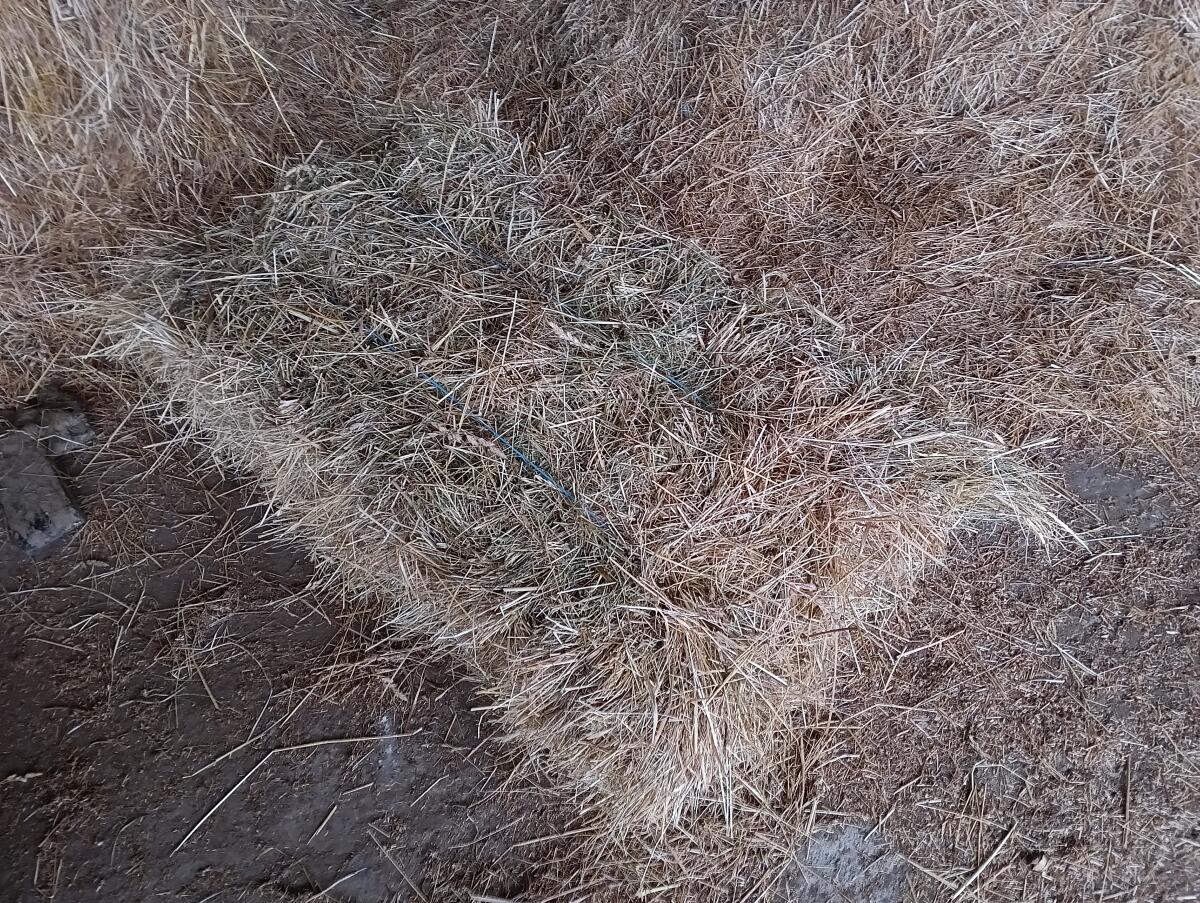 Kleine Heuballen 2