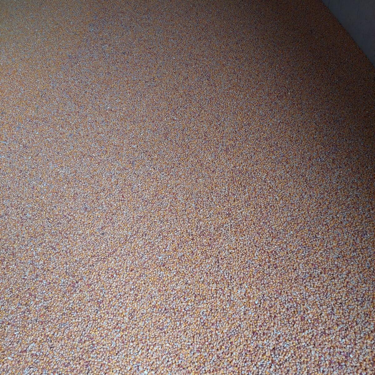 Verkaufe Trockenmais 2