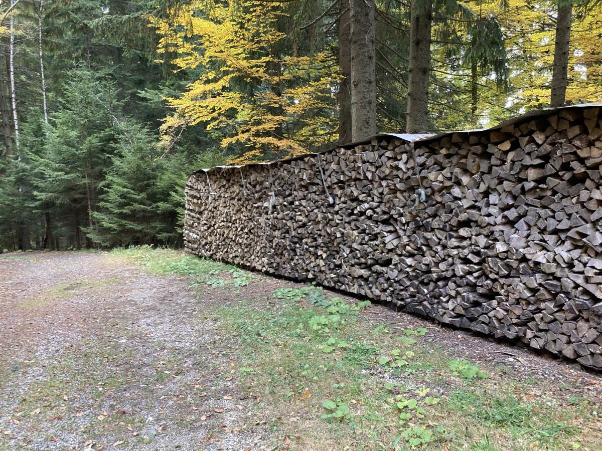 Hartholz 2