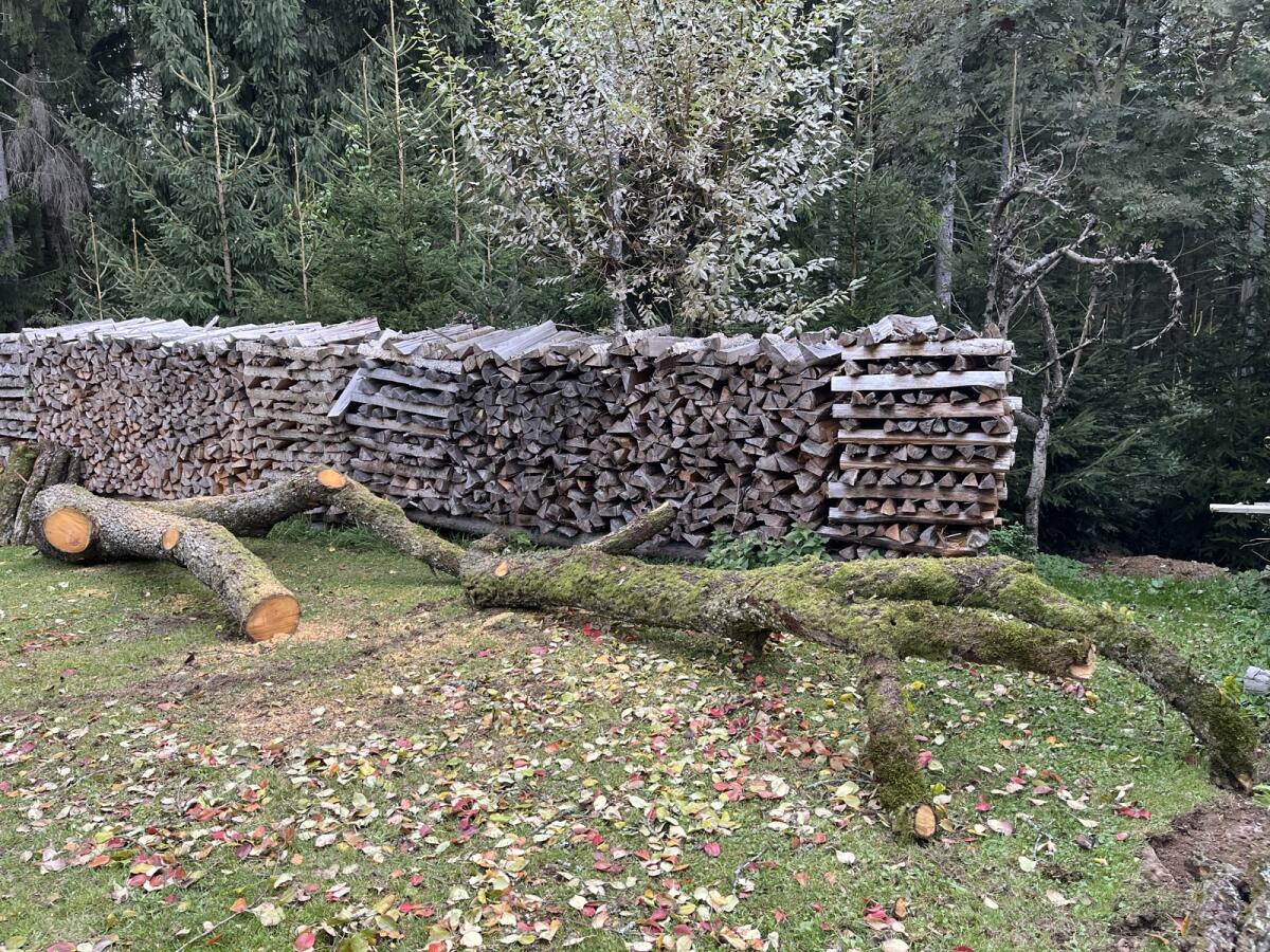 Birnenholz/Birnenstämme 1